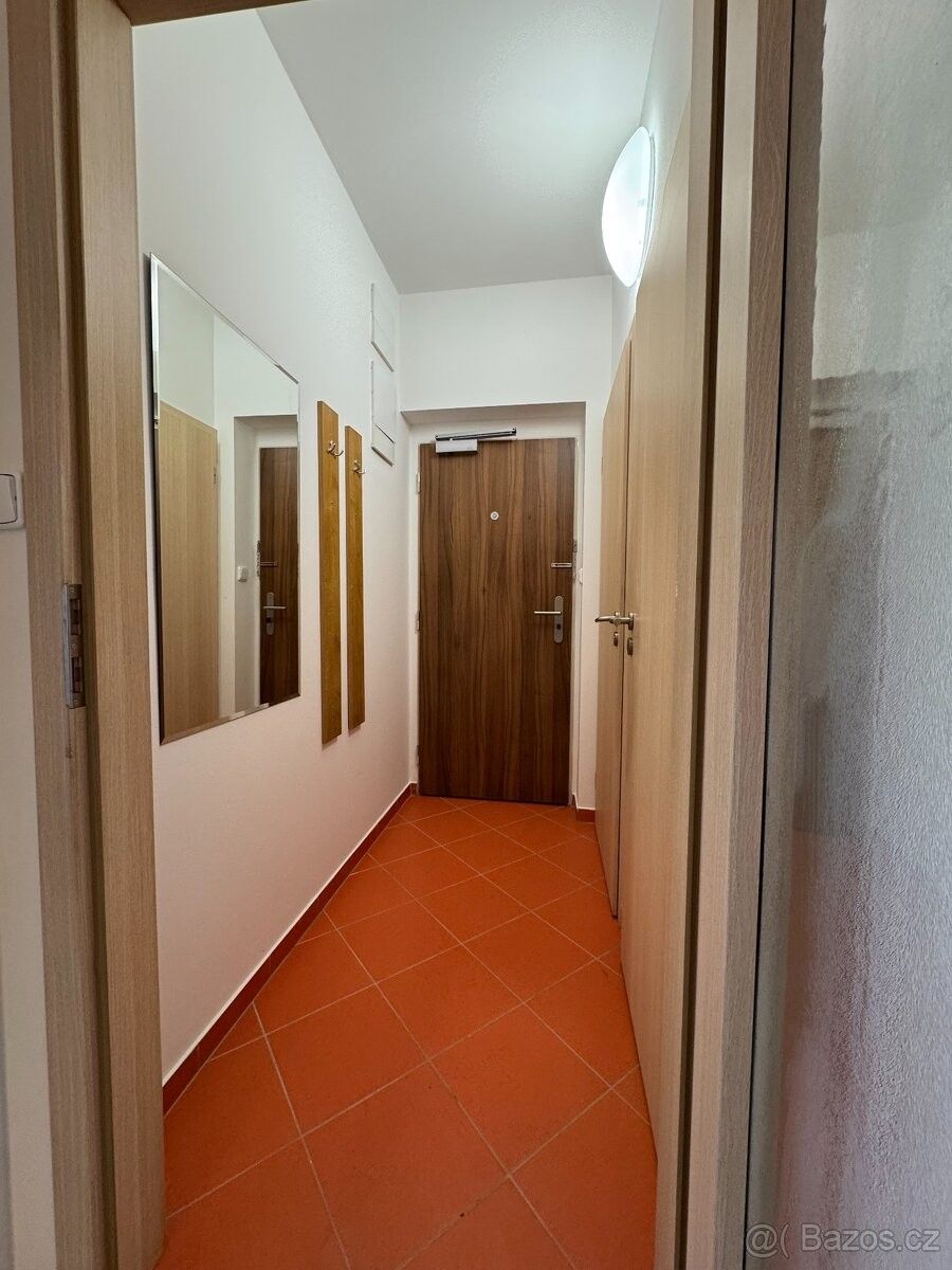 Pronájem byt - Brno, 602 00