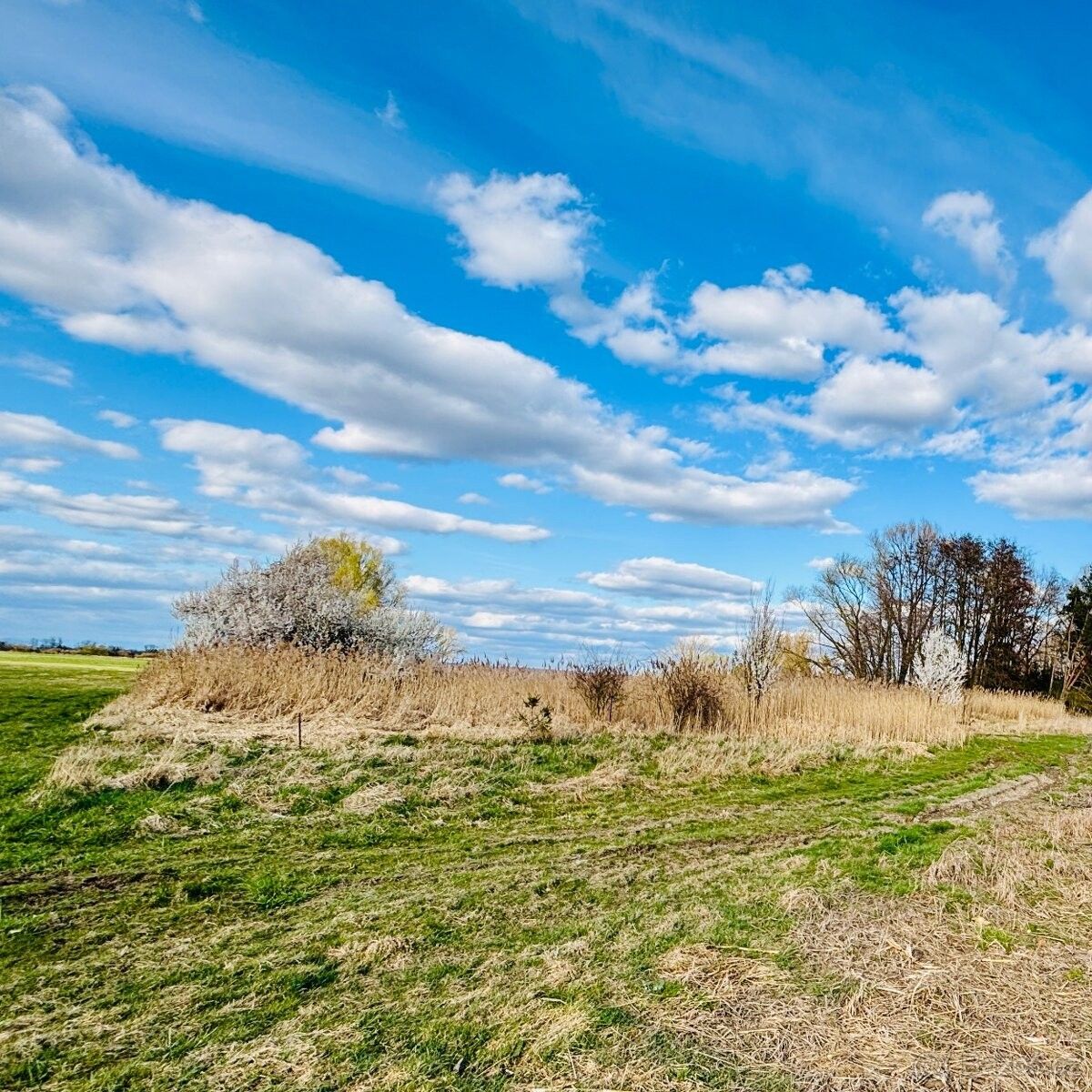 Pozemek pro bydlení · Lužec nad Cidlinou, 503 62 - 4