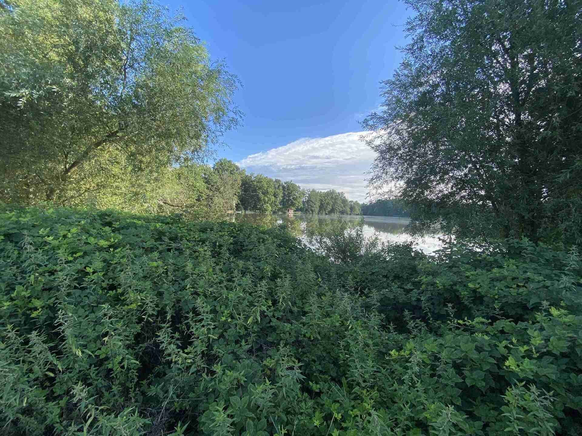 Zemědělský pozemek · 1 447 m² · Chlum u Třeboně Žíteč - 3