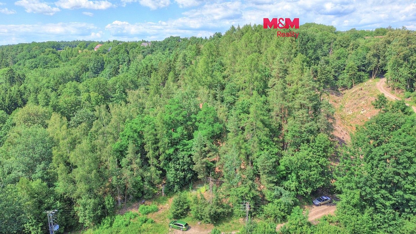 Lesy, Ohnišov - Zákraví, okres Rychnov nad Kněžnou, Královéhradecký kraj - 1