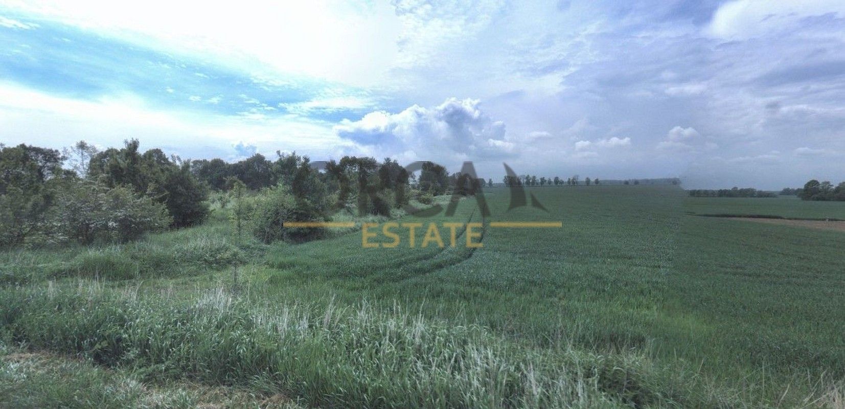 Prodej zemědělský pozemek - Uherský Ostroh, okres Uherské Hradiště, Zlínský kraj - 5