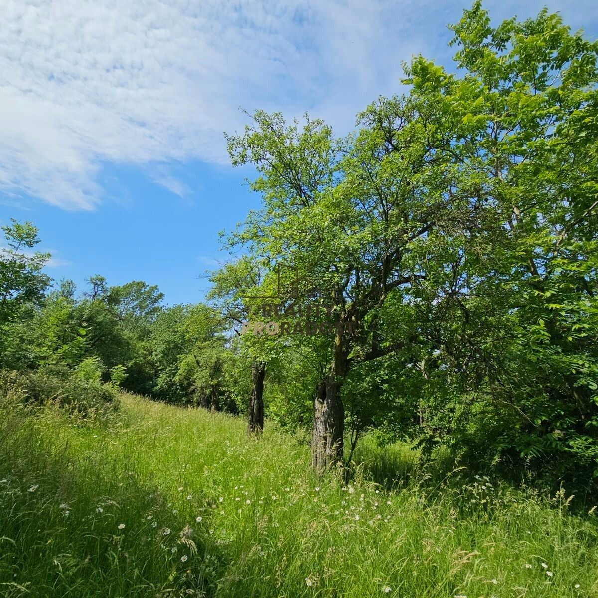 Ostatní, Koryčany, 4 m²
