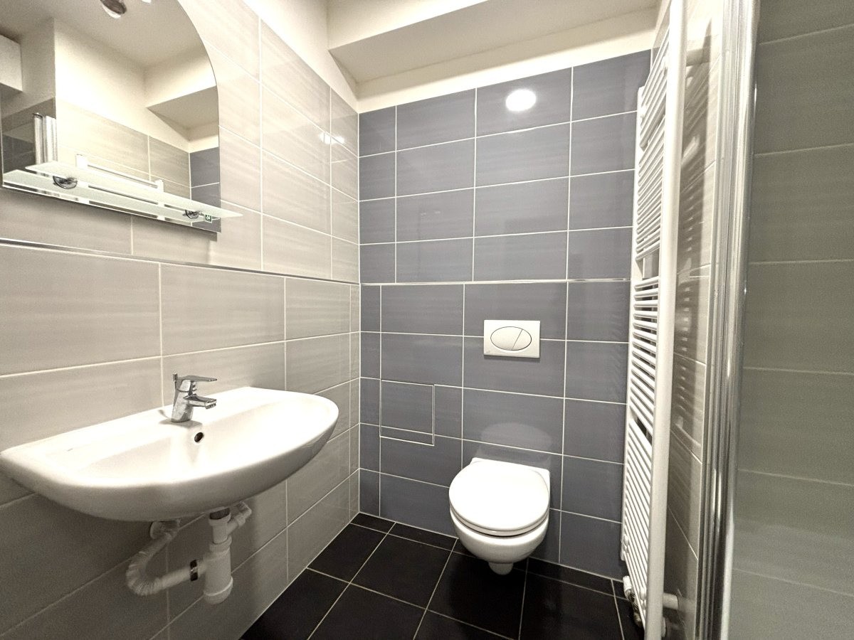 Pronájem byt 1+kk - Technická, Plzeň, 27 m² - 5