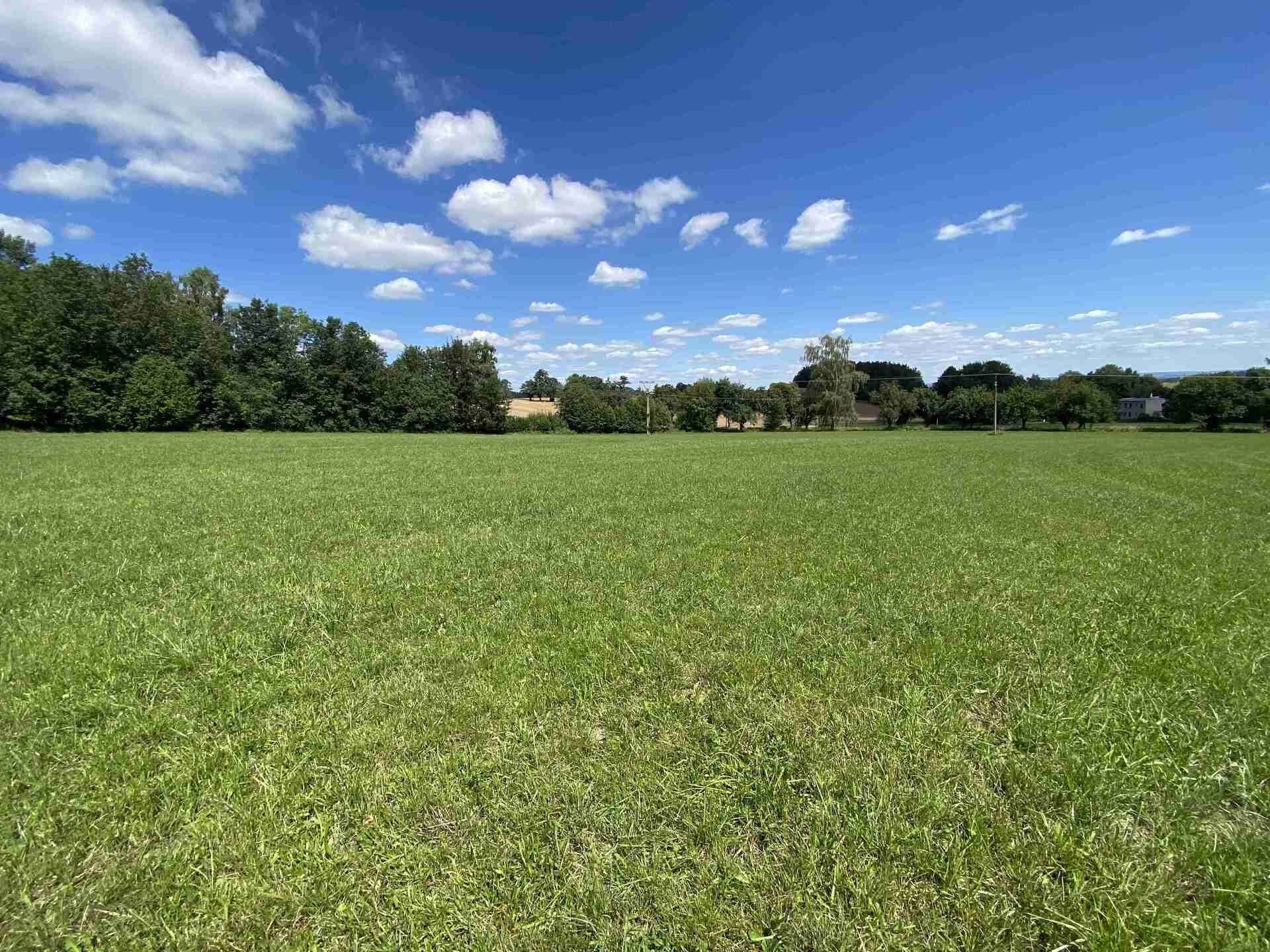 Pozemek · 3 466 m² · Boňkov - 3