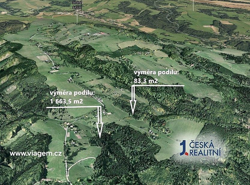 Les · Cotkytle, okres Ústí nad Orlicí, Pardubický kraj - 2
