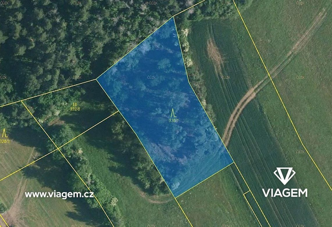 Les · Kuřimská Nová Ves, okres Brno-venkov, Jihomoravský kraj - 3