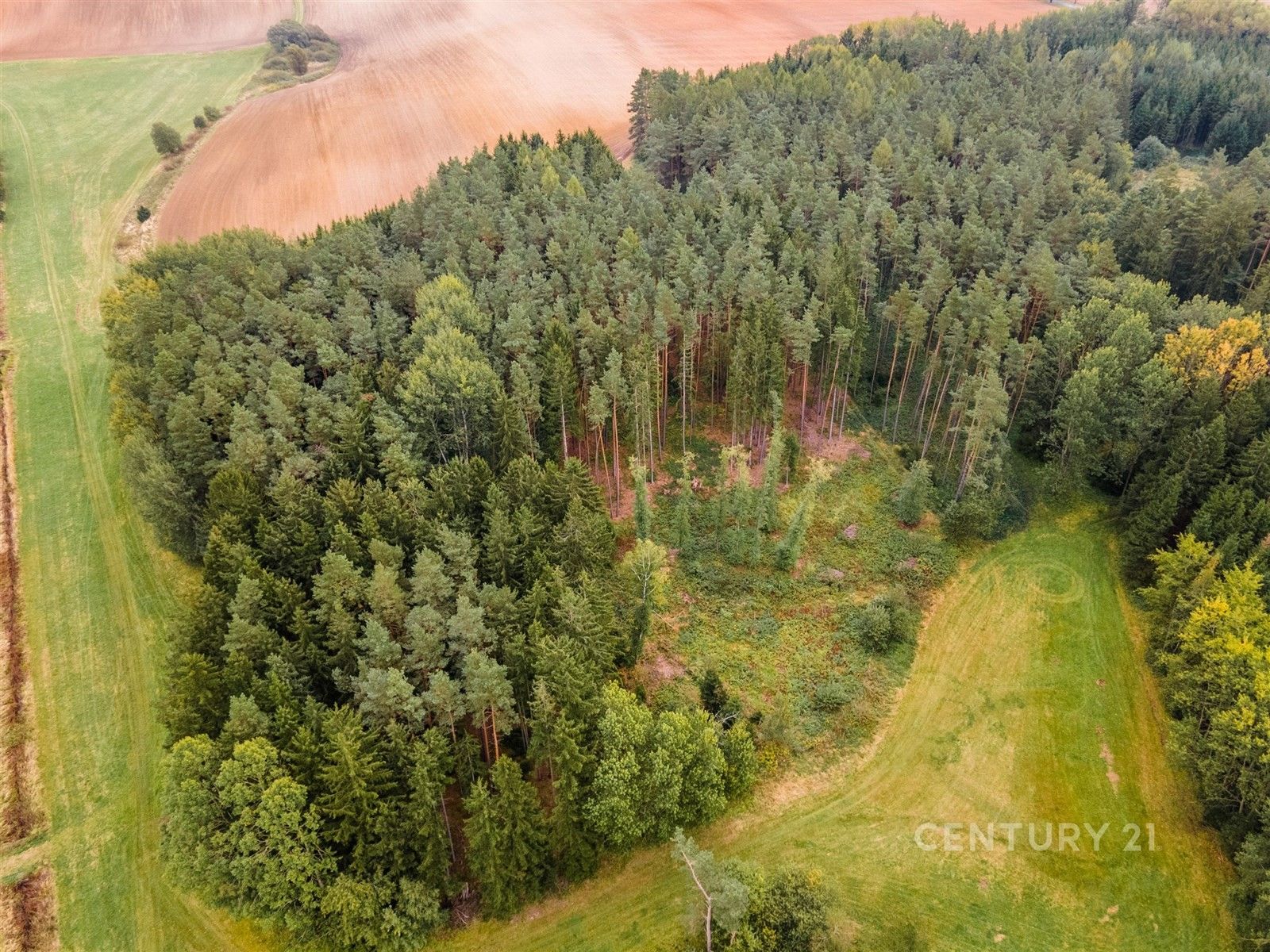 Prodej les - Hradec nad Svitavou