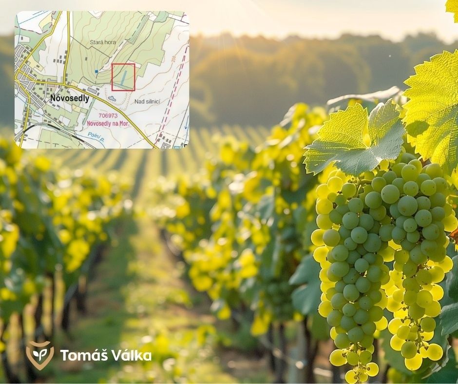 Pozemky pro bydlení, Novosedly na Moravě, 691 82