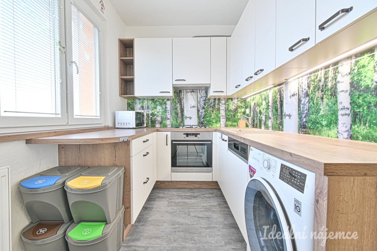 3+1, Vysoká, Brno, 58 m²