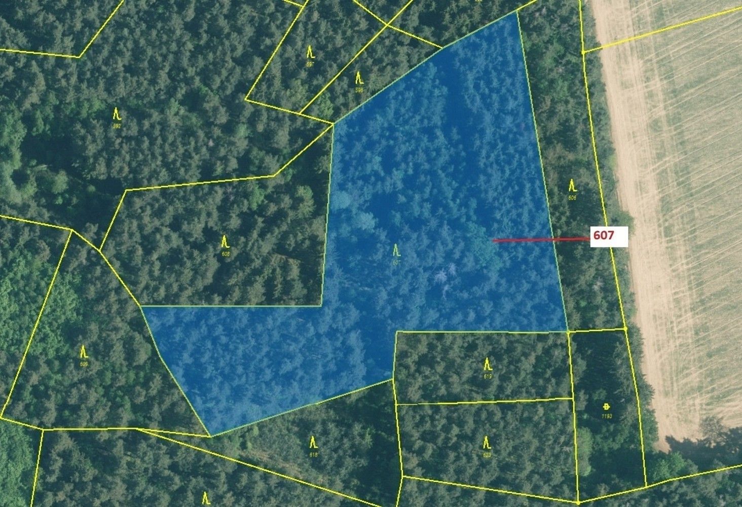 Les · Kuřimany, okres Strakonice, Jihočeský kraj - 2