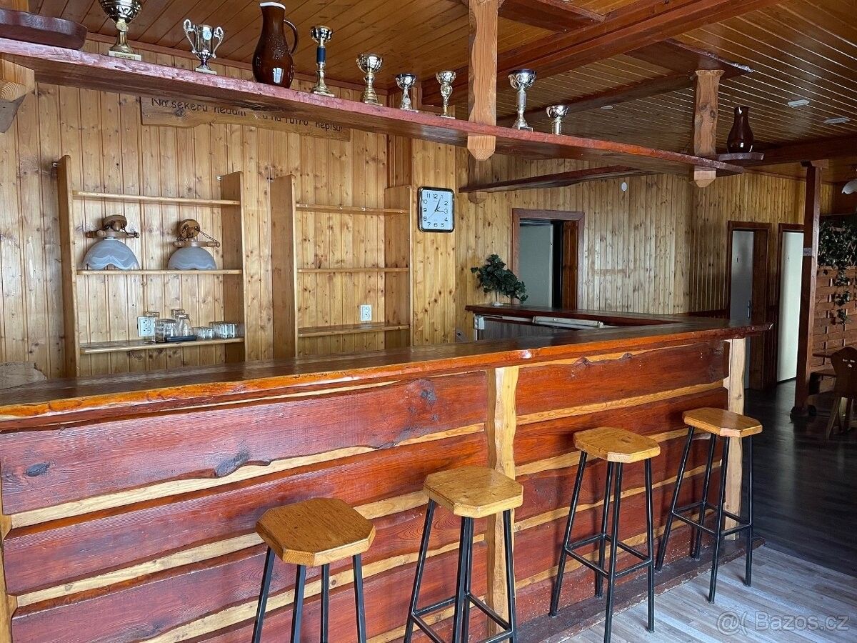 Pronájem restaurace - Hradec Králové, 500 11