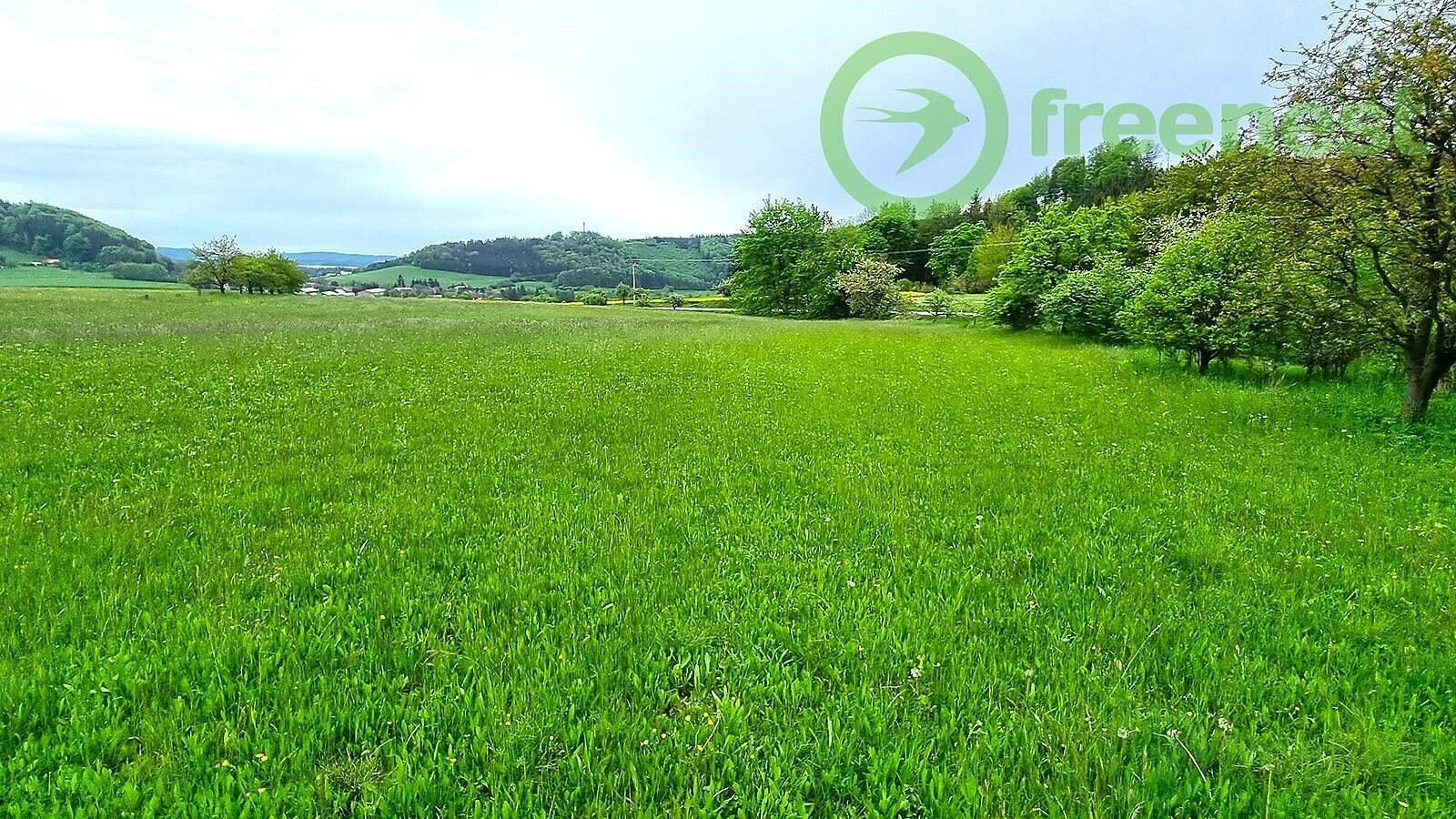 Prodej pozemek pro bydlení - Orlické Podhůří, okres Ústí nad Orlicí, Pardubický kraj - 5