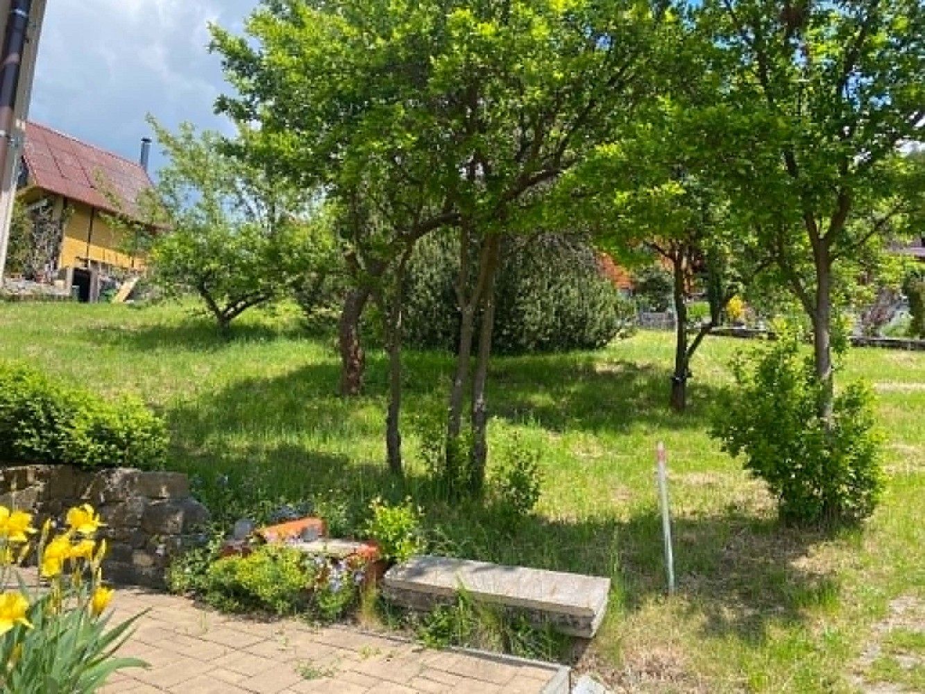 Pozemek pro bydlení · Dolní Studénky, okres Šumperk, Olomoucký kraj - 3