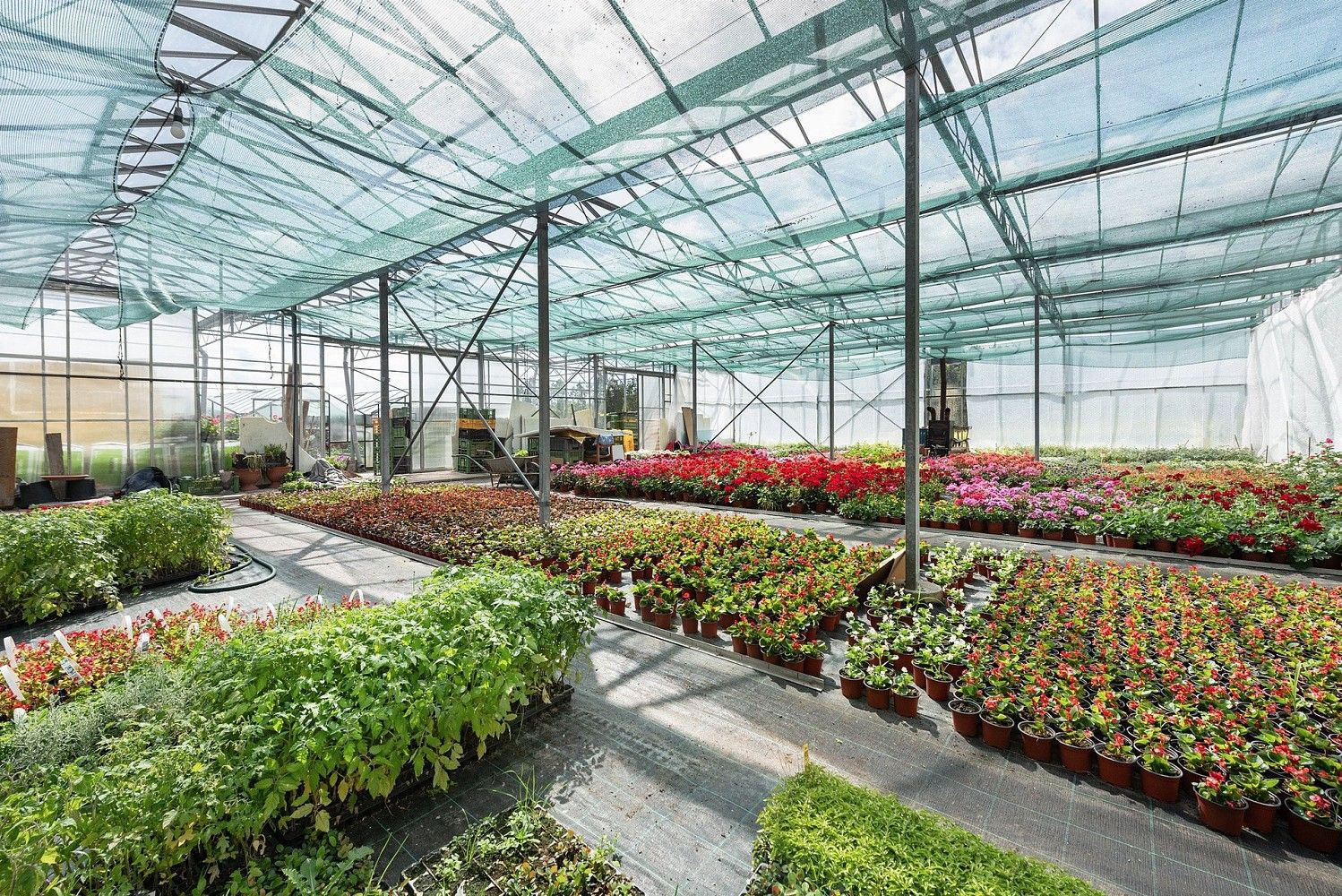 Komerční nemovitost · 956 m² · Miřetice, okres Chrudim, Pardubický kraj - 4