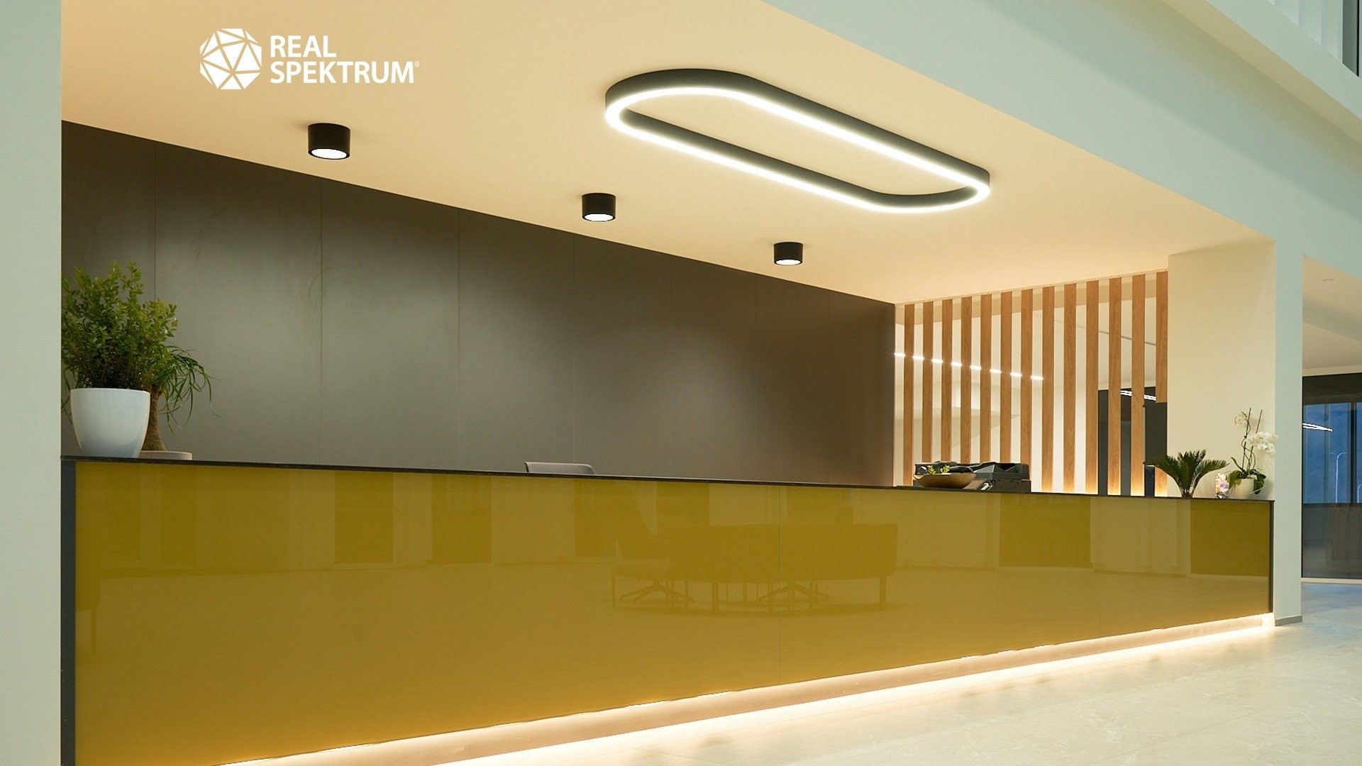 Pronájem kancelář - Bauerova, Brno, 297 m²