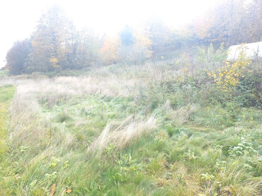 Stavební pozemek, Bochov – pohled 4