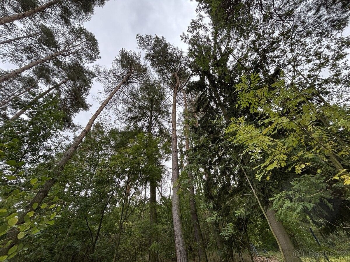 Pozemky pro bydlení, Sedlec-Prčice, 257 91