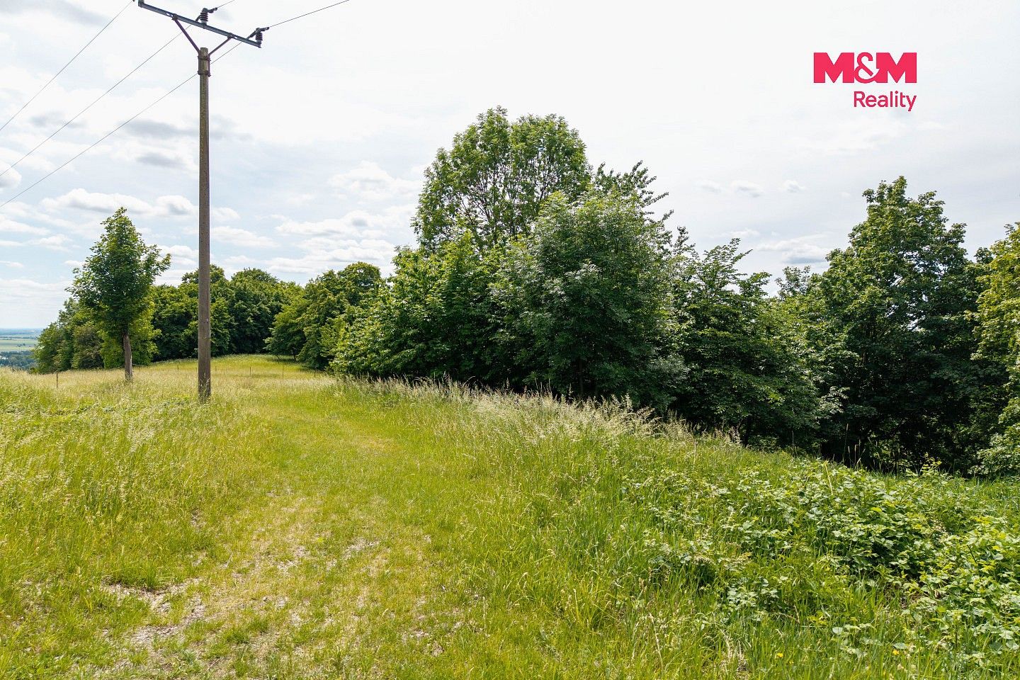 Louka · Nosálov - Libovice, okres Mělník, Středočeský kraj - 3