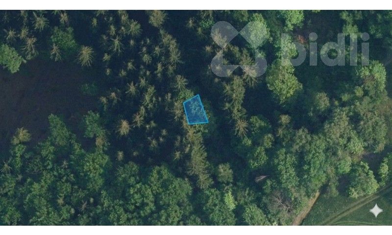 Prodej louka - Šumburk nad Desnou, Tanvald