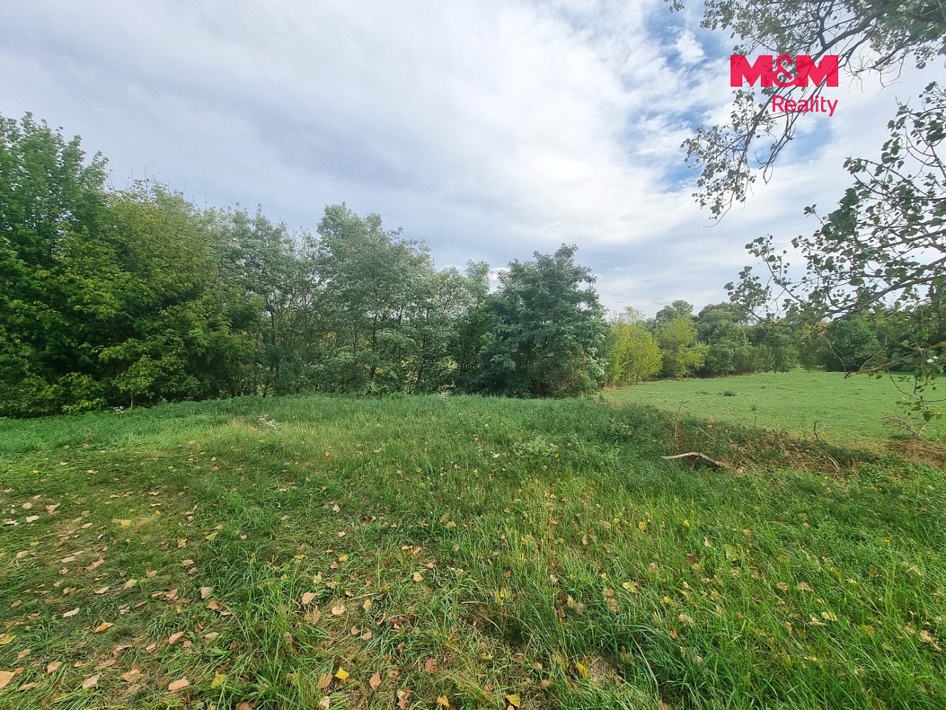 Zemědělský pozemek · Vítězná, Rohatec, okres Hodonín - 4