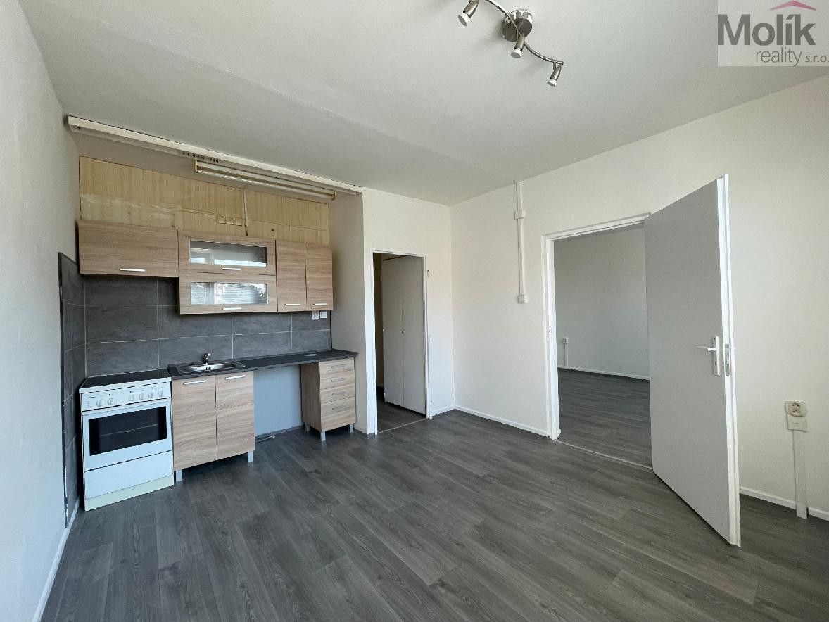 1+1, U Zámeckého parku, Litvínov, 35 m²