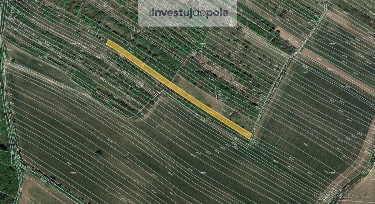 Prodej zemědělský pozemek - Klobouky u Brna, 691 72, 2 027 m²