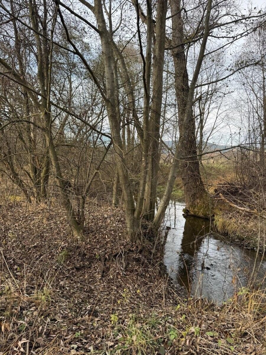 Prodej pozemek pro bydlení - Chvalšiny, 382 08 - 5