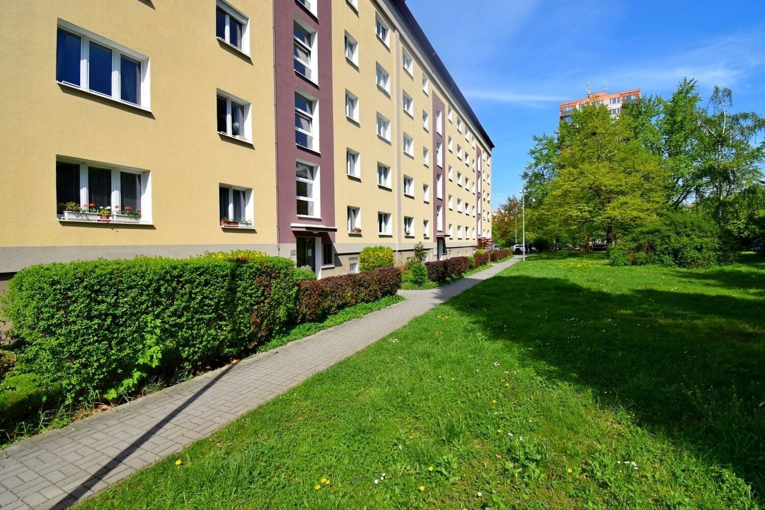 Prodej ostatní - Praha 10, Praha, 18 m² - 5