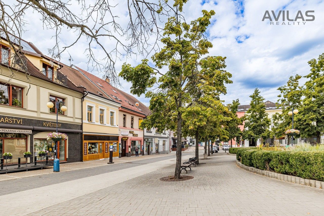 Ostatní, Masarykovo náměstí, Benešov, 256 m²