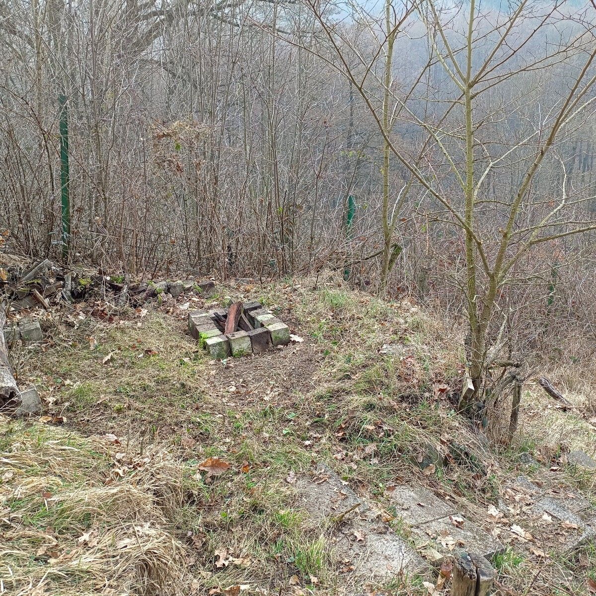 Prodej zahrada - Děčín, 405 02