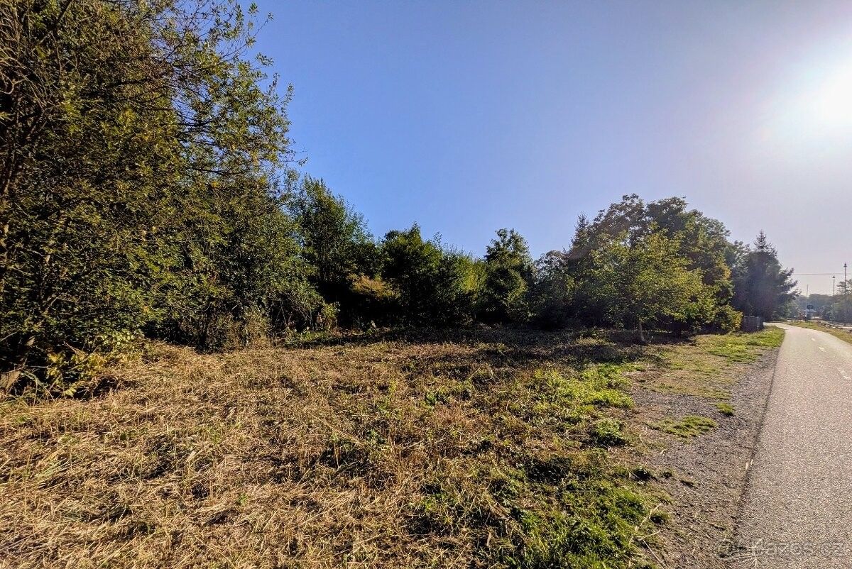 Prodej pozemek pro bydlení - Doudleby nad Orlicí, 517 42 - 5