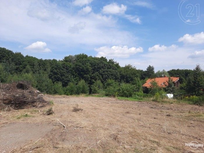 Prodej pozemek pro bydlení - Přestvůrka, Černé Voděrady, 1 002 m²