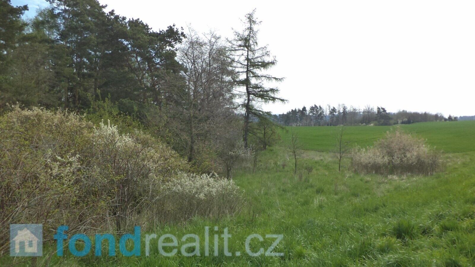 Pozemek · 1 277 m² · Dešná Dančovice - 4