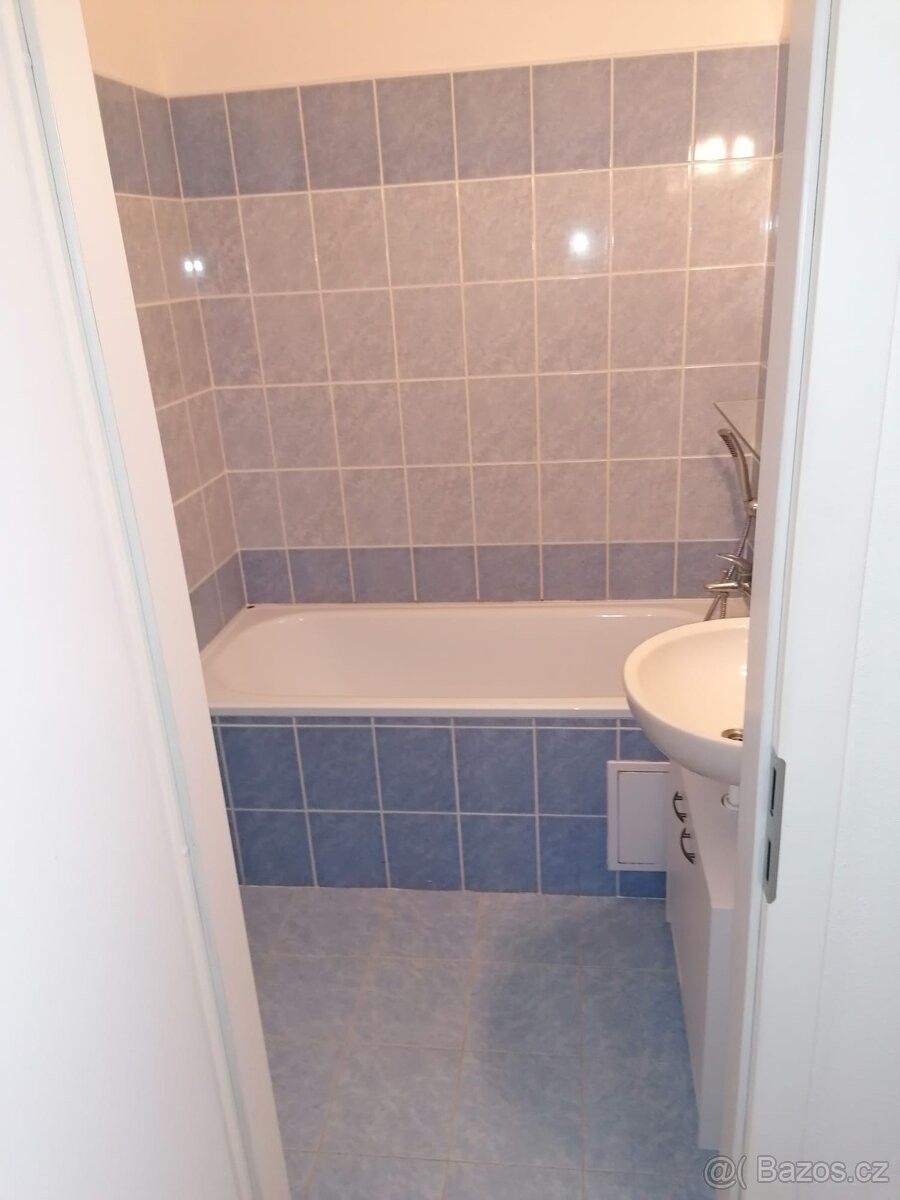 Pronájem byt - České Budějovice, 370 05