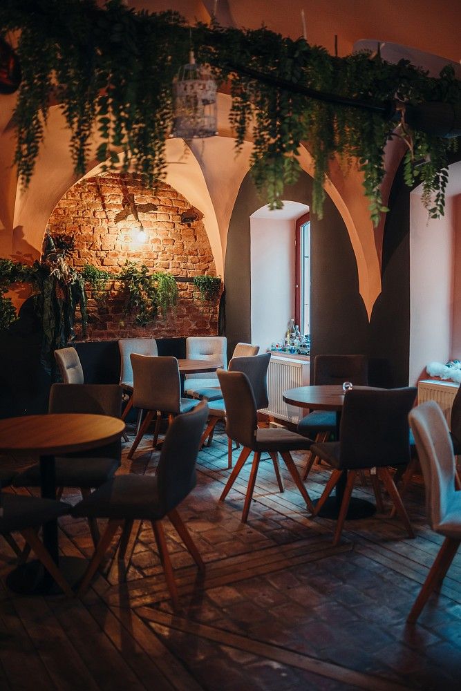 Restaurace, Olomouc, Olomoucký kraj, 90 m² - 2