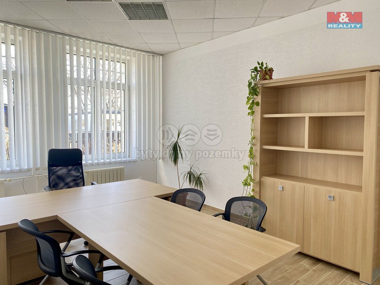 Kancelář · 22 m² · Hlubčická, Krnov - Pod Bezručovým vrchem, okres Bruntál - 3