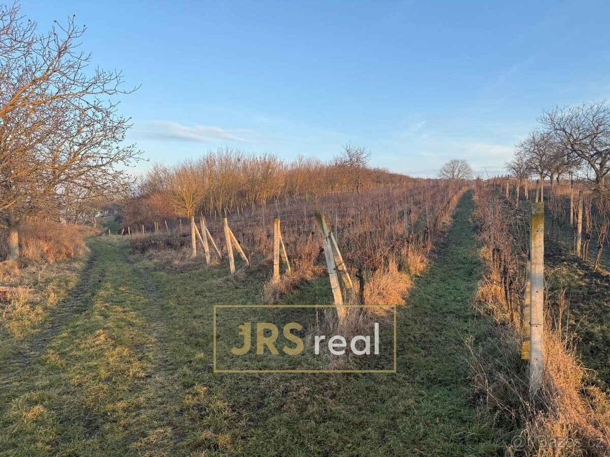 Prodej pozemek pro bydlení - Kobylí na Moravě, 691 10