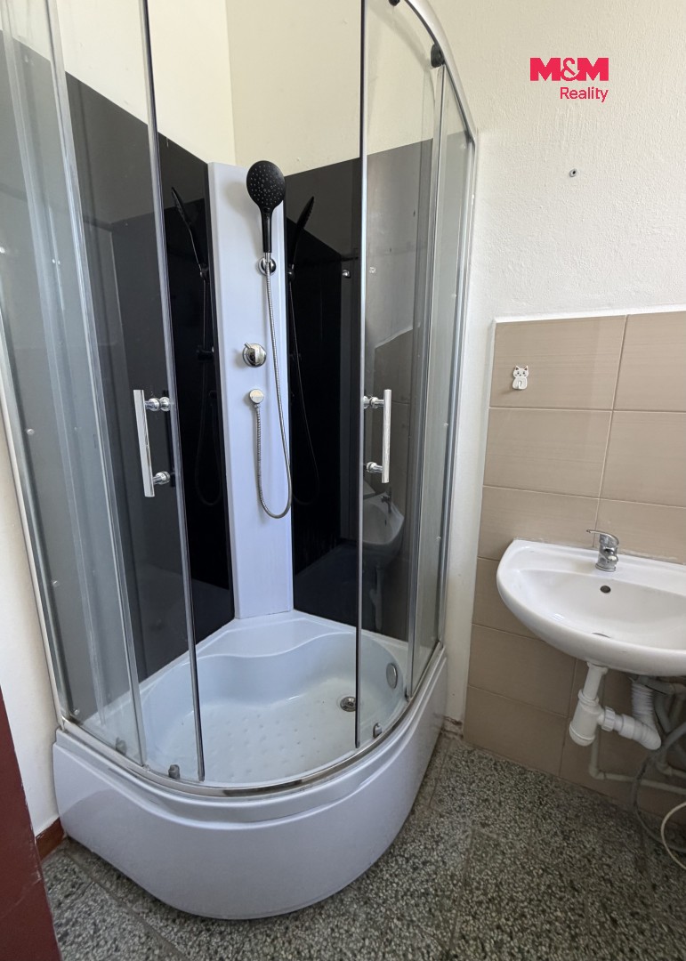 Obchodní prostory · 1 007 m² · Klešice - 4