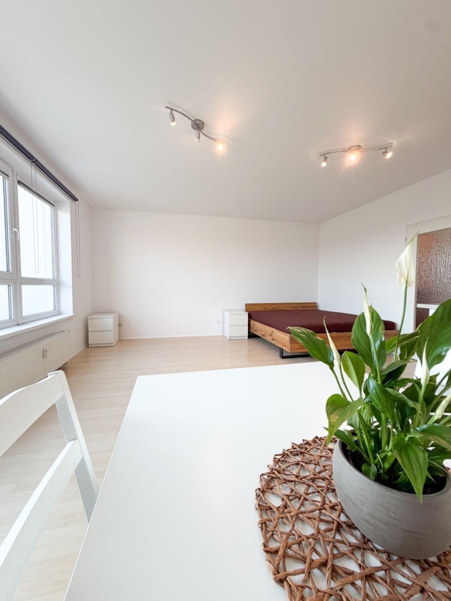Byt 1+kk · 42 m² · Novobohdalecká, Praha - Michle - 3