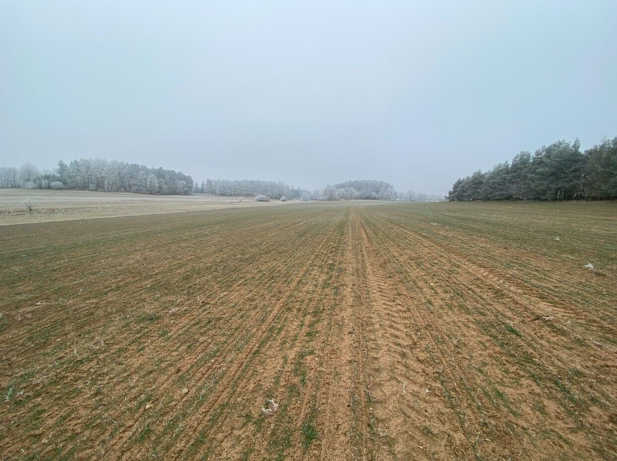 Zemědělský pozemek · 13 059 m² · Slatina - 3