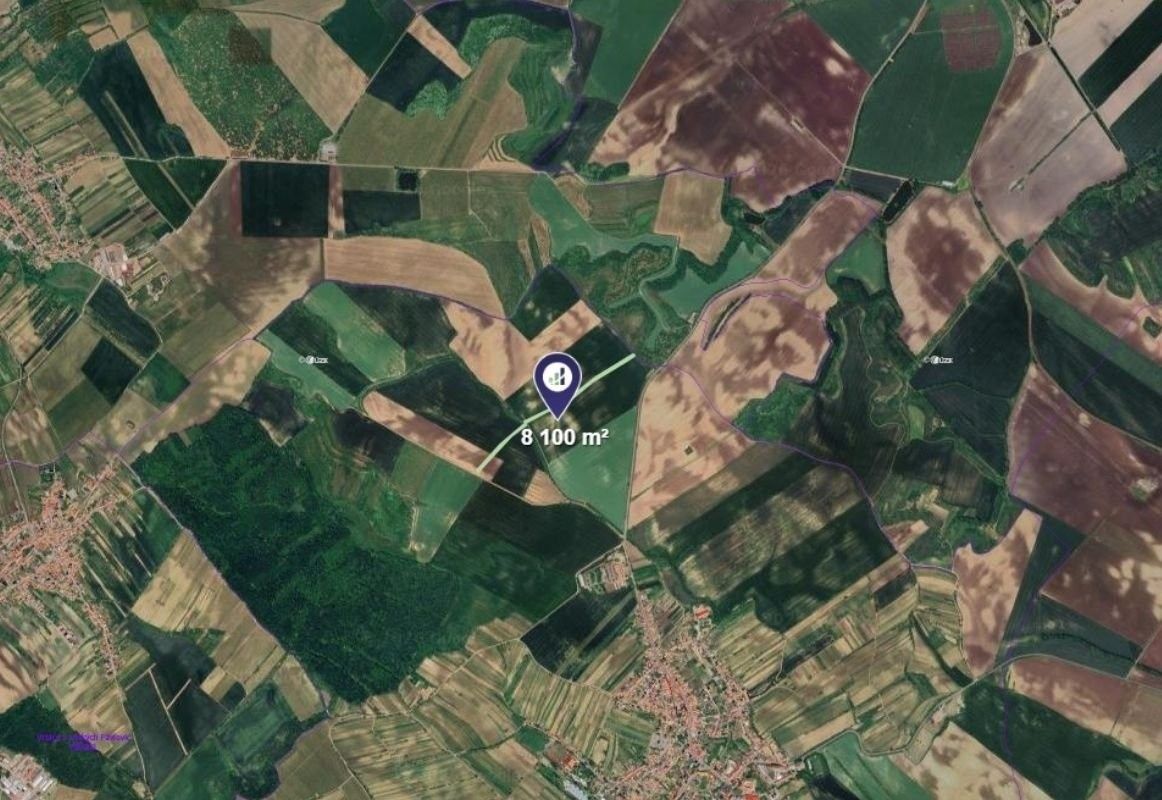 Prodej zemědělský pozemek - Čejkovice, 8 100 m²