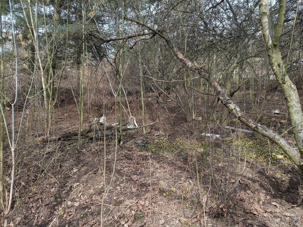 Pronájem zahrada - Ústí nad Labem, 400 10