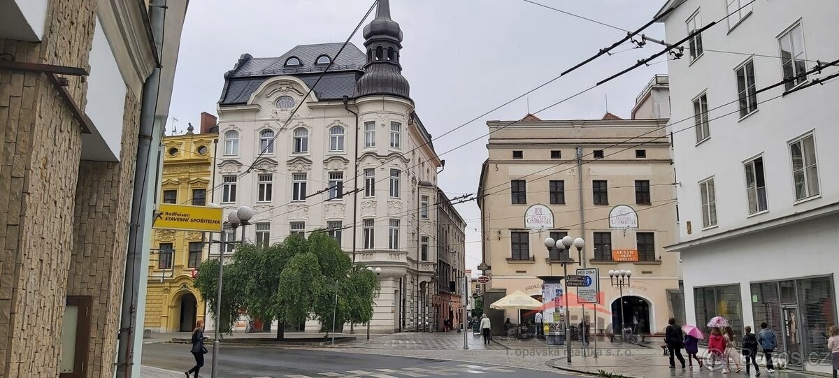 Kanceláře, Opava, 746 01 - 1
