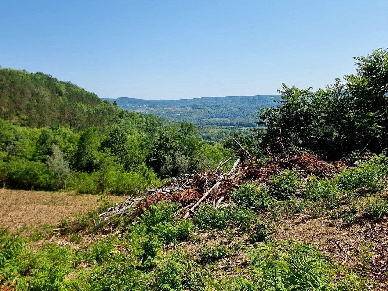 Pozemek pro bydlení · Grožnjan, HR - 3