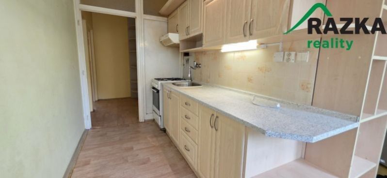 2+1, Smetanova, Planá, 60 m² - 2