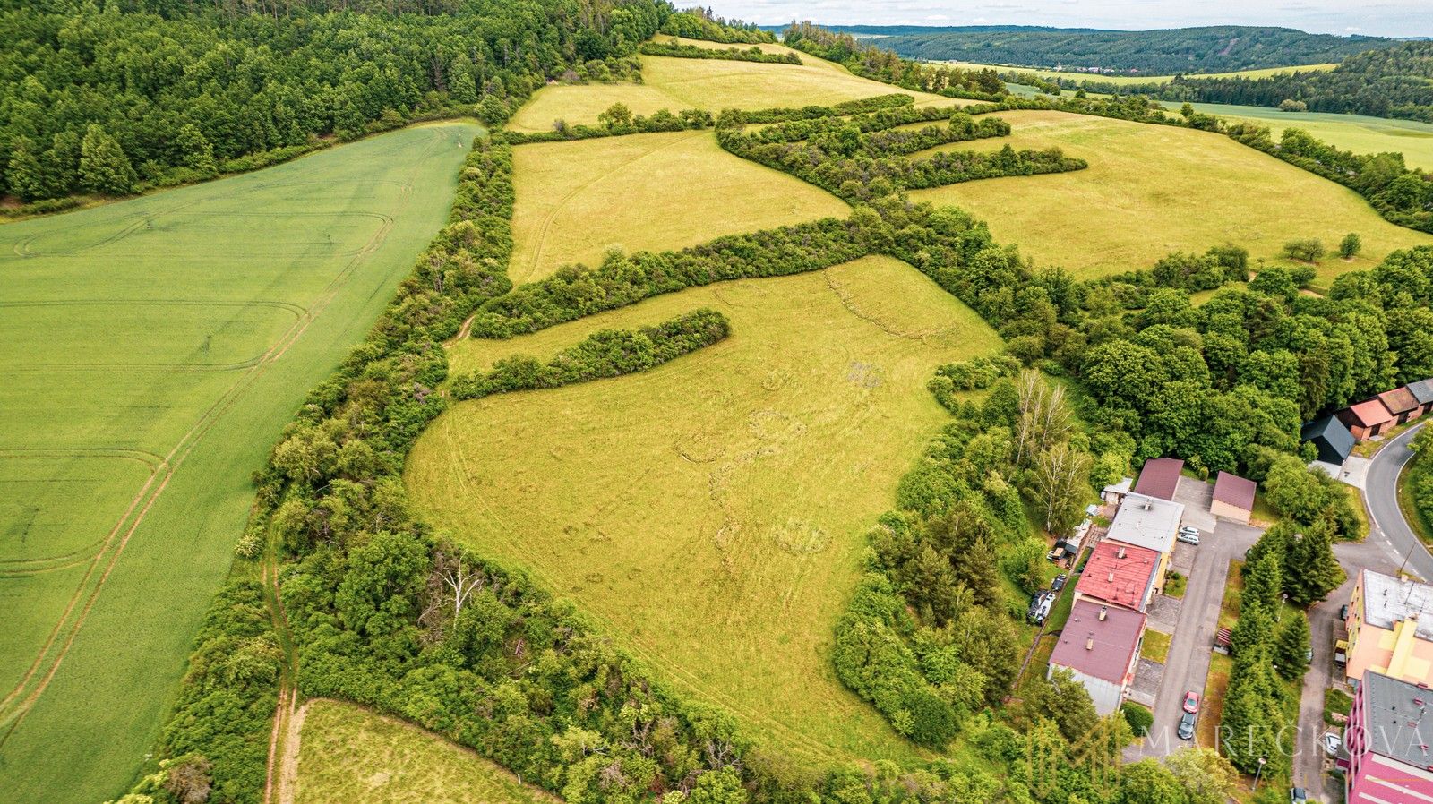 Prodej louka - Manětín, 20 969 m² - 5