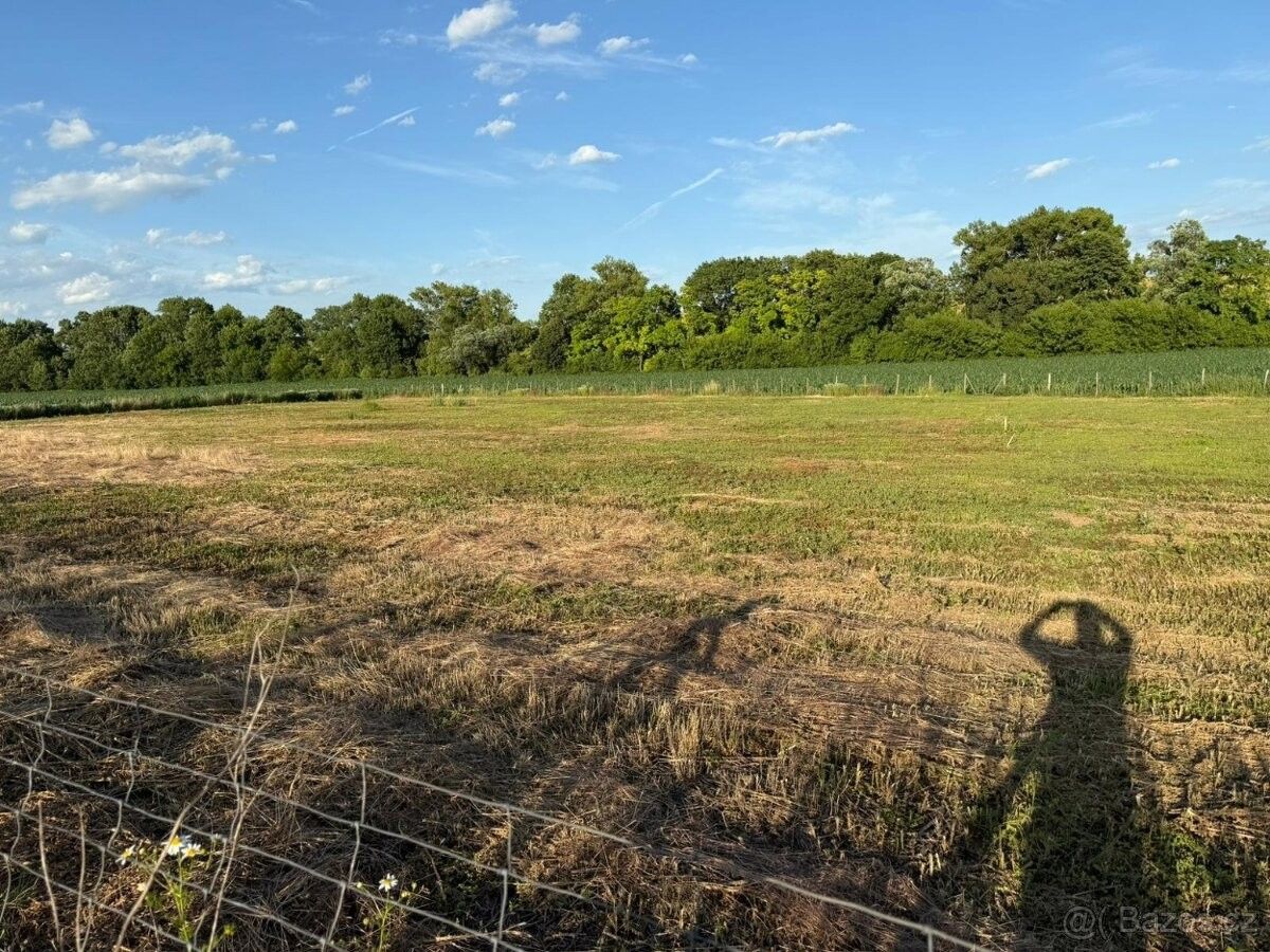 Prodej pozemek pro bydlení - Holubice, 683 51