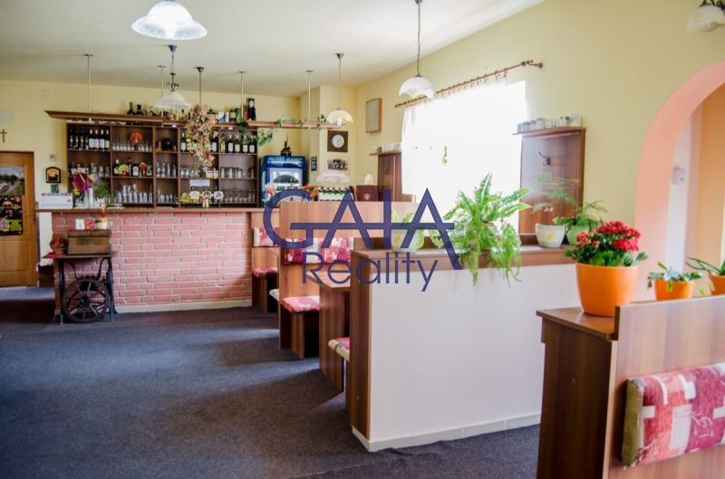 Pronájem ubytovací zařízení - Sadová, Veselí nad Moravou, 170 m²