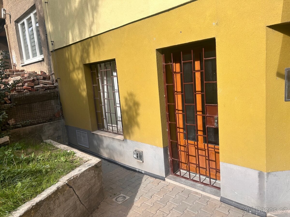 Obchodní prostory, Brno, 613 00, 30 m² - 1