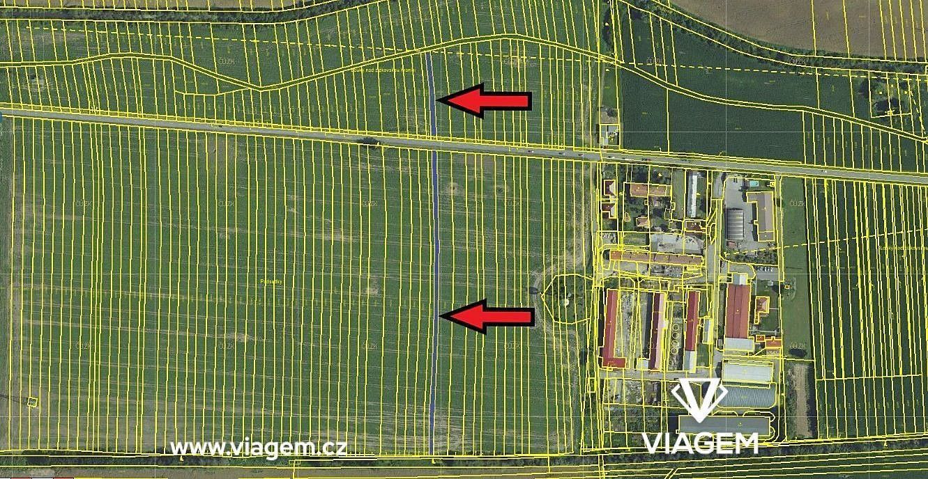 Prodej zemědělský pozemek - Prušánky, okres Hodonín, Jihomoravský kraj - 1
